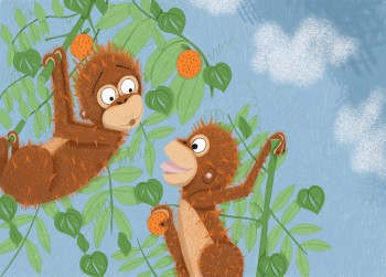 Orangutans