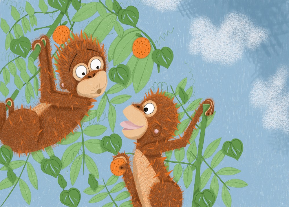 Orangutans