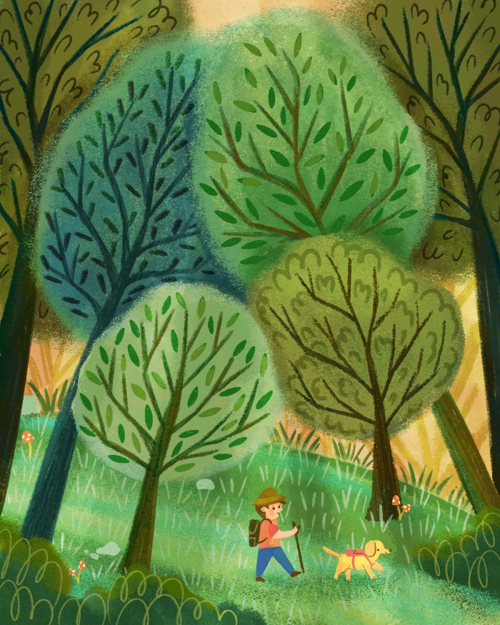 Adventuring in the Forest