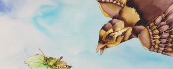 Sparrow and Grasshopper