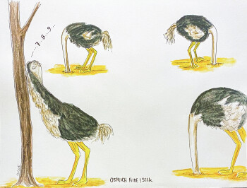 Ostrich Hide & Seek