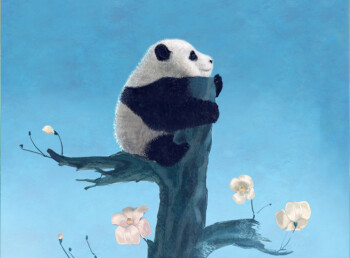 Stories about Pandimoon
