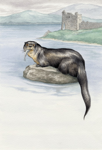 Mythical Otter.