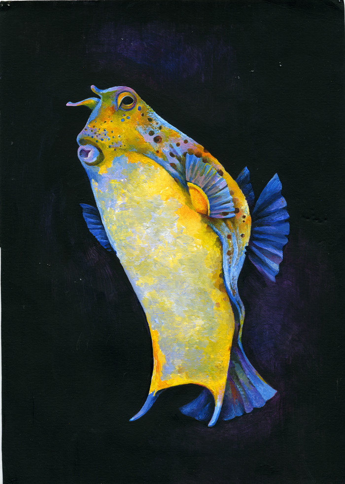 Let's Dive In: Illustrating the Underwater World