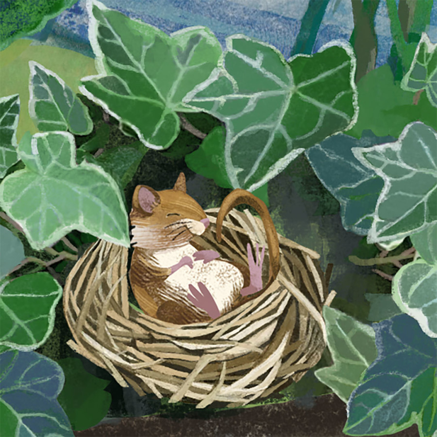 Recent Commission for FWT (Folly Wildlife Rescue)
