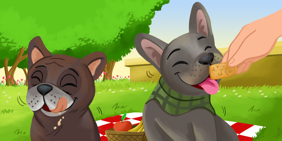 Nadia Ronquillo illustrates "Charlie and Coco"