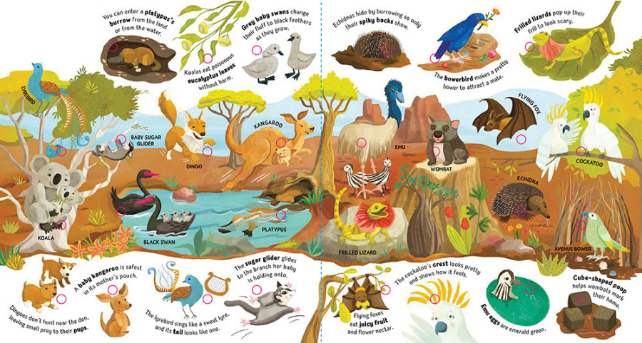 New early non-fiction book “Animal Facts” with AZ Books
