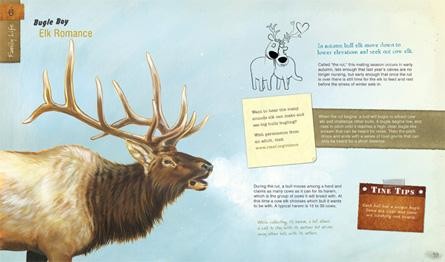 The Wild Life of Elk