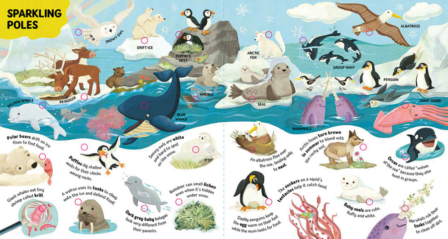 New early non-fiction book “Animal Facts” with AZ Books
