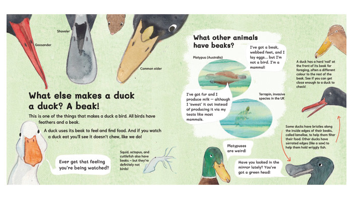 It's utterly quackers!