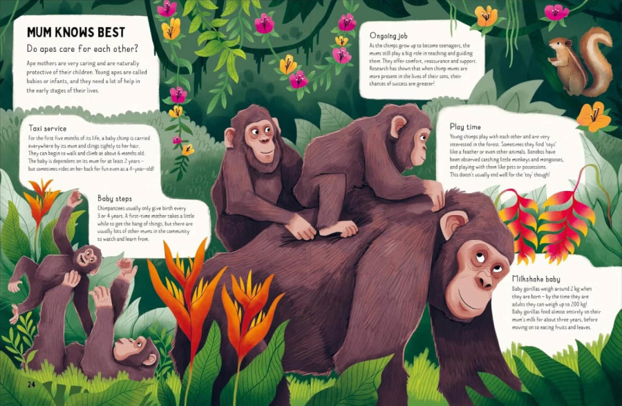 Do Gorillas Eat Bananas?