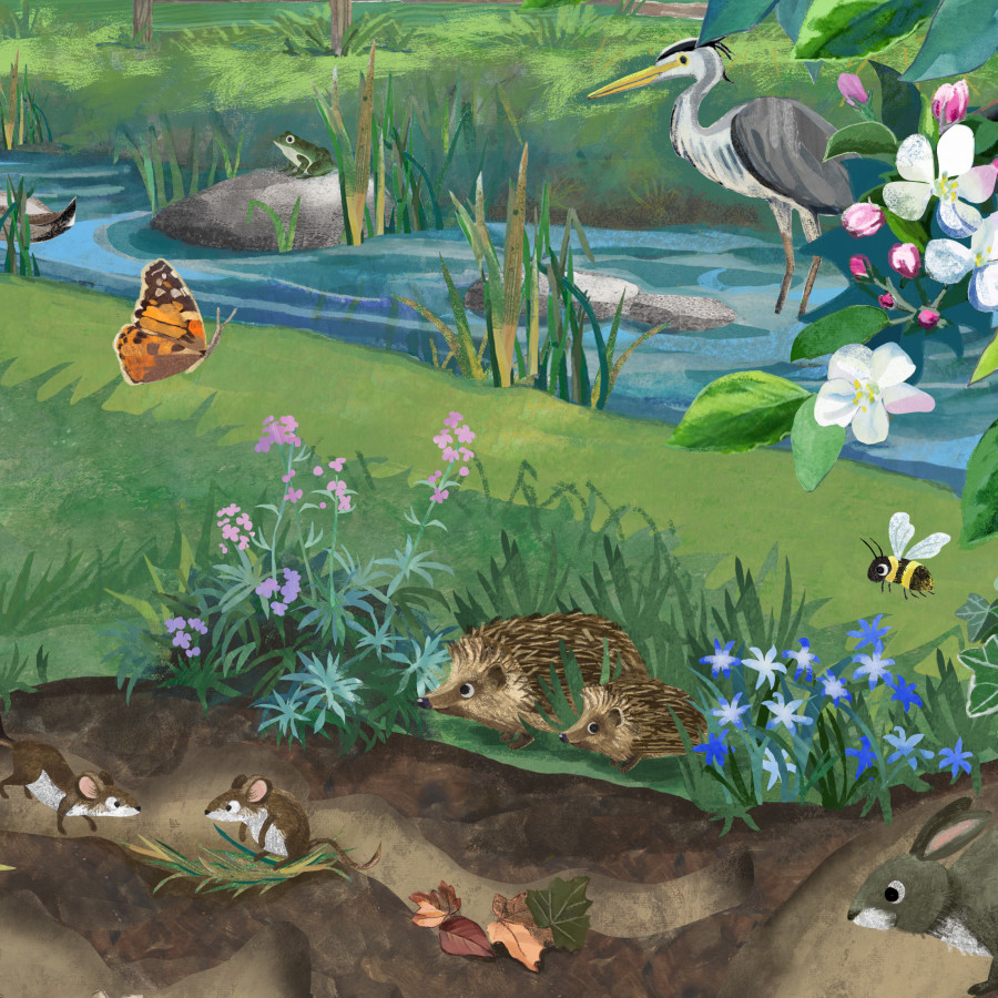 Recent Commission for FWT (Folly Wildlife Rescue)