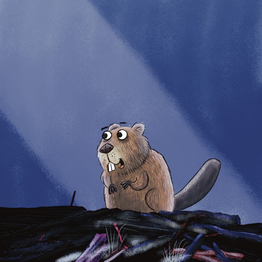 A Moonlit Adventure