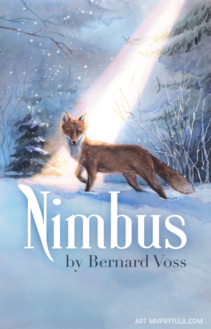 Young Adult Book Cover for a debut author