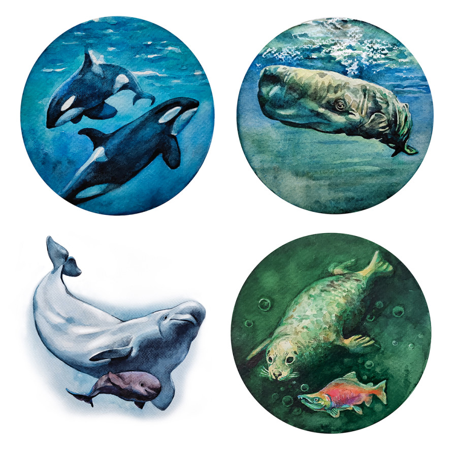Let's Dive In: Illustrating the Underwater World