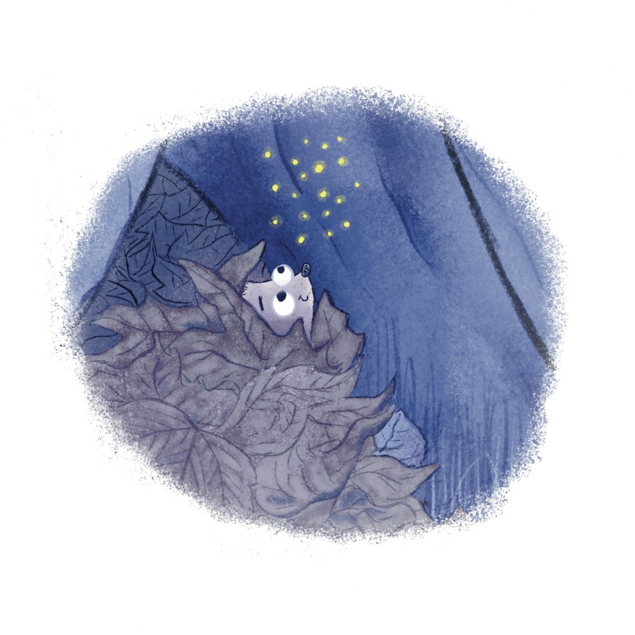 A Moonlit Adventure