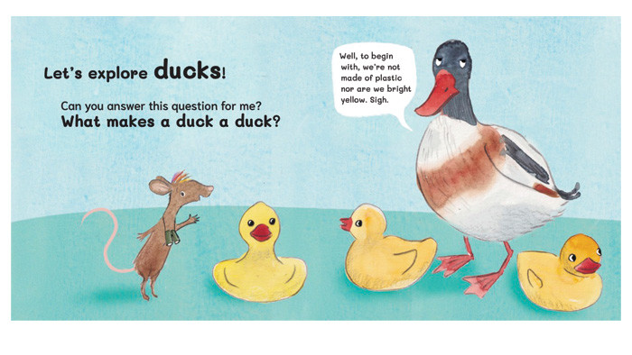 It's utterly quackers!