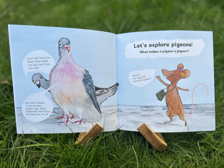 More than a smidgen of pigeons!