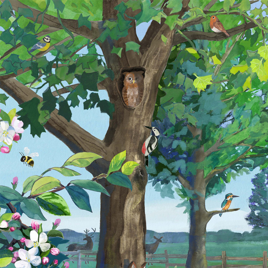 Recent Commission for FWT (Folly Wildlife Rescue)