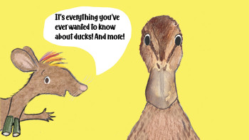 It's utterly quackers!