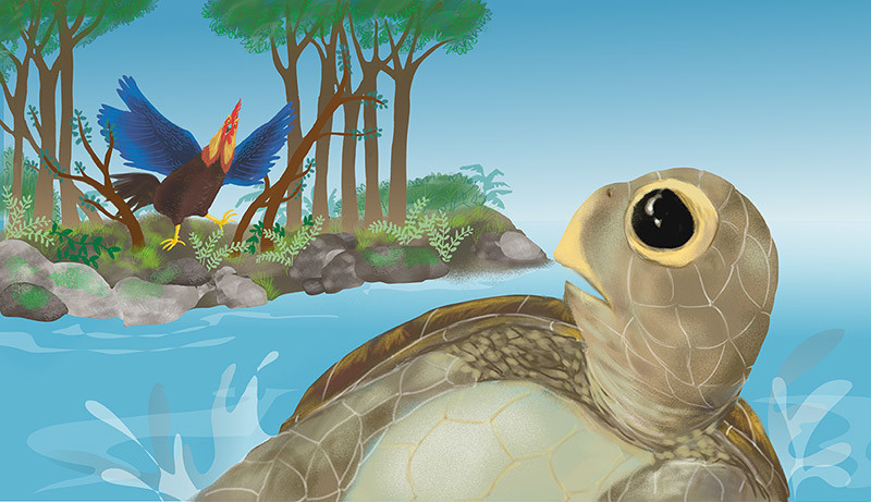 HONU AND MOA page spread