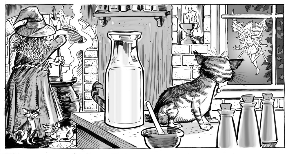 Cat & witch
